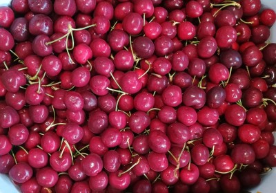 Foto Ciliegie Varietà Kordia Origine Italia Marchio Medi Fruit            2