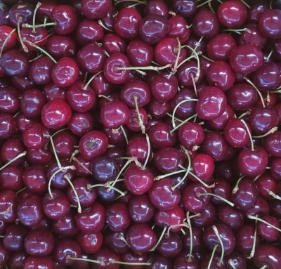 Foto Ciliegie Varietà Sweet elen Origine Italia Marchio Medifruits          2