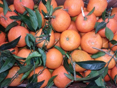 Foto Clementini Affogliati Varietà Oronules Calibro 1 Origine Italia Marchio Triolo 2