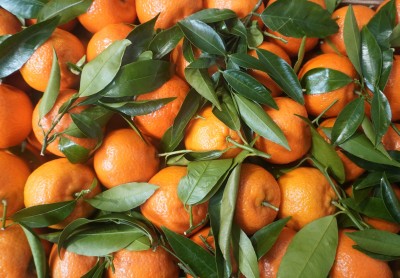 Foto Clementini  Senza Semi Calibro 2 Origine Italia Marchio Triolo 2