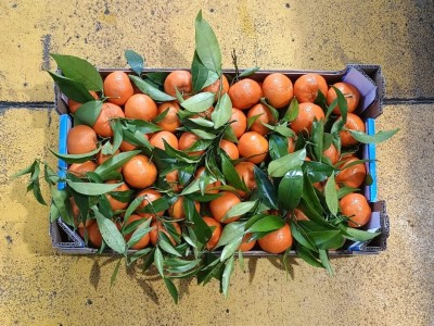 Foto Clementini Affogliati Calibro 3 Origine Italia Marchio Triolo 3