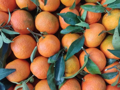 Foto Clementini Defogliati Varietà Oronules Calibro 2 Origine Spagna Marchio Triolo 2