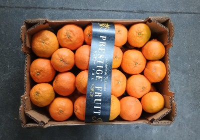 Foto Clementini Calibro 1x Origine Italia Marchio Prestige Fruit 3