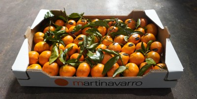 Foto Clementini Varietà Tango Gold Calibro 1x Origine Spagna Marchio Martinavarro  1