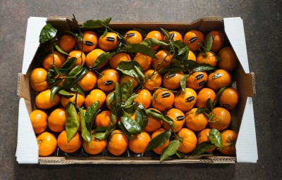 Foto Clementini Varietà Tango Gold Calibro 1x Origine Spagna Marchio Martinavarro  3