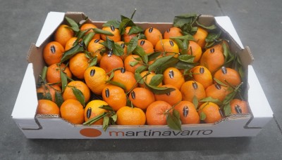 Foto Clementini Affogliati  Varietà Nadorcott Calibro 1x Origine Spagna Marchio Martinavarro  1