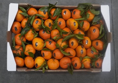 Foto Clementini Affogliati  Varietà Nadorcott Calibro 1x Origine Spagna Marchio Martinavarro  3