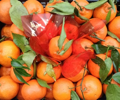 Foto Clementini Affogliati Calibro 1 Origine Italia Marchio Acri & Sas 2