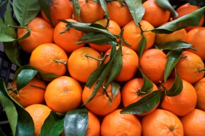 Foto Clementini Varietà Spinoso Calibro 1 Origine Italia Marchio Hilias 2