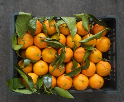 Foto Clementini Varietà Spinoso Calibro 1 Origine Italia Marchio Hilias 3