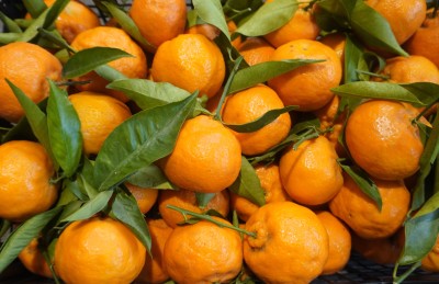 Foto Clementini Foglia Calibro 2/3 Origine Italia Marchio Hilias  2