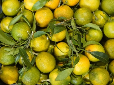 Foto Clementini Varietà Senza Semi Calibro 2/3 Lavorazione In Plastica Origine Spagna Marchio Triolo 2