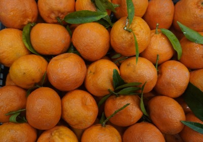 Foto Clementini Affogliati Calibro 1x Origine Italia Marchio Iannello Rocco  2