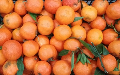 Foto Clementini Affogliati Origine Italia Marchio Mondial Fruit 2