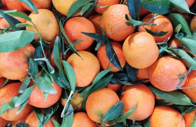 Foto Clementini Oronules Origine Spagna Marchio Agriverd 2