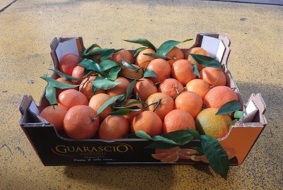 Foto Clementini Lavorazione Con Foglia  Calibro 1 Origine Italia Marchio Guarascio  1