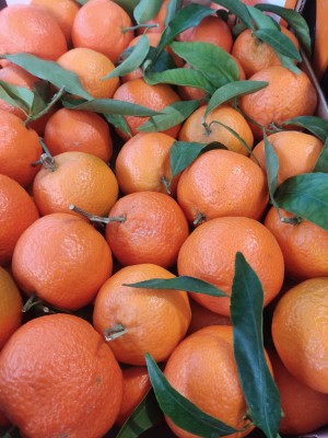 Foto Clementini Lavorazione Con Foglia  Calibro 1 Origine Italia Marchio Guarascio  2