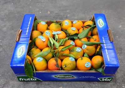 Foto Clementini Affogliati Varietà Spinoso Calibro 2 Origine Italia Marchio Valfrutta 1