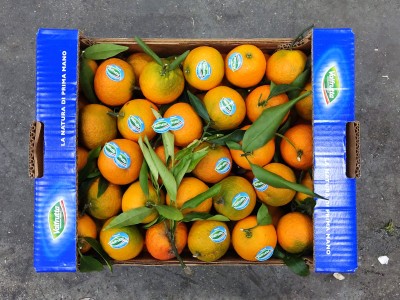 Foto Clementini Affogliati Varietà Spinoso Calibro 2 Origine Italia Marchio Valfrutta 3