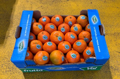 Foto Clementini Origine Italia Marchio Valfrutta 1