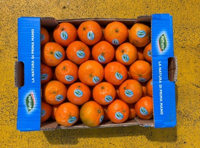 Foto Clementini Origine Italia Marchio Valfrutta 3