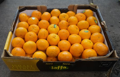 Foto Clementini Orri Calibro 1 Origine Israele Marchi Jaffa 1