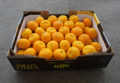Foto Clementini Varietà Orri Calibro 1x Origine Israele Marchio Jaffa  1