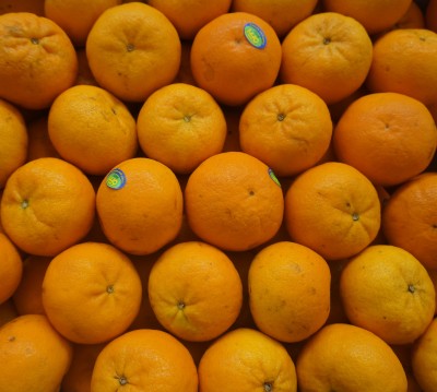 Foto Clementini Varietà Orri Calibro 1x Origine Israele Marchio Jaffa  2