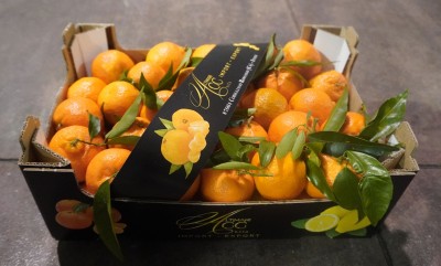 Foto Clementini Affogliati  Calibro 1 Origine Italia Marchio Altimari 1