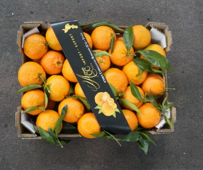 Foto Clementini Varietà Foglia Calibro 1x Origine Italia Marchio Altimari 3