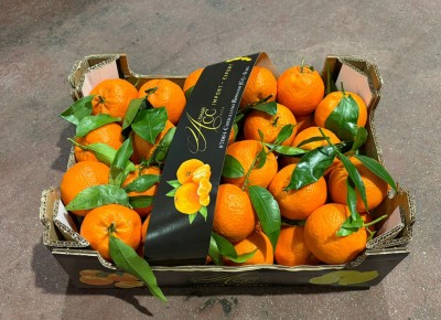 Foto Clementini Foglia Calibro 1x Origine Italia Marchio Altimari   1