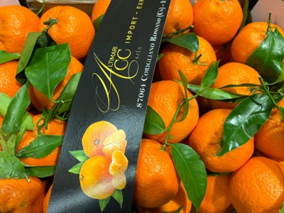 Foto Clementini Foglia Calibro 1x Origine Italia Marchio Altimari   2