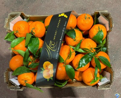 Foto Clementini Foglia Calibro 1x Origine Italia Marchio Altimari   3