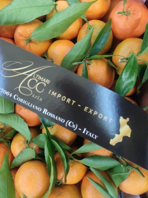 Foto Clementini Affogliati Calibro 1 Origine Italia Marchio Alrimari      2