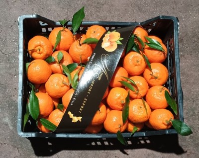 Foto Clementini Affogliati Calibro 1 Origine Italia Marchio Altimari	 3