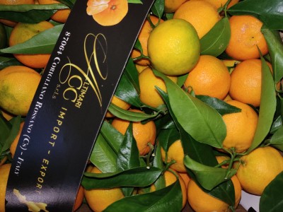 Foto Clementini Affogliati Calibro 2 Origine Italia Marchio Altimari 2