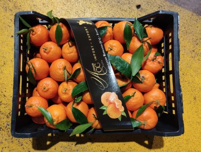 Foto Clementini Affogliati Calibro 2 Origine Italia Marchio Altimari  3