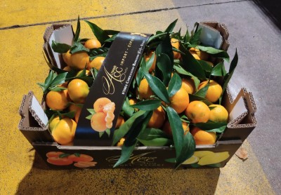 Foto Clementini Affoglieti Calibro 3 Origine Italia MArchio Altimari  1