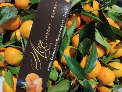 Foto Clementini Affoglieti Calibro 3 Origine Italia MArchio Altimari  2