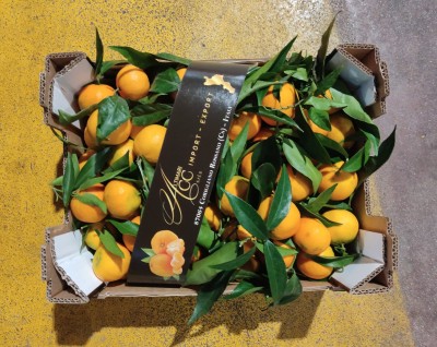 Foto Clementini Affoglieti Calibro 3 Origine Italia MArchio Altimari  3