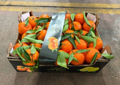 Foto Clementini Affogliati Calibro 1 Origine Italia Marchio Alrimari 1