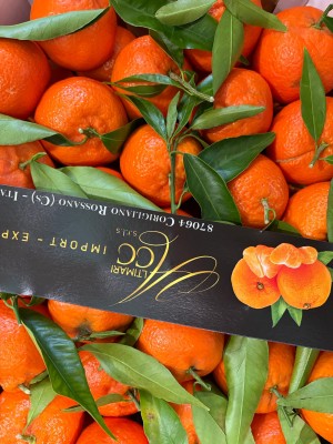 Foto Clementini Affogliati Calibro 1 Origine Italia Marchio Alrimari 2