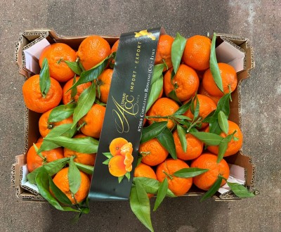 Foto Clementini Affogliati Calibro 1 Origine Italia Marchio Alrimari 3