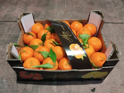 Foto Clementini Affogliati Calibro 1x Origine Italia Marchio Altimari	 1