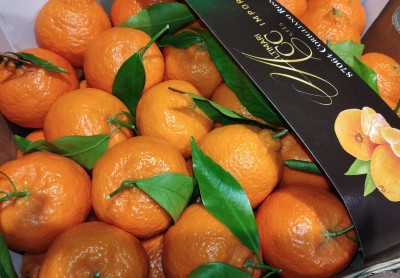 Foto Clementini Affogliati Calibro 1x Origine Italia Marchio Altimari	 2