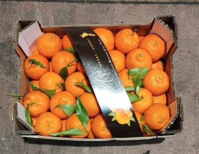 Foto Clementini Affogliati Calibro 1x Origine Italia Marchio Altimari	 3