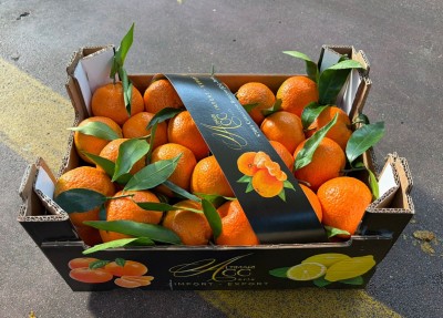 Foto Clementini Affogliati Calibro 1 xx Origine Italia Marchio Altimari       1