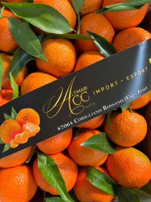 Foto Clementini Affogliati Calibro 1 xx Origine Italia Marchio Altimari       2