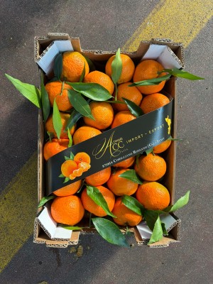 Foto Clementini Affogliati Calibro 1 xx Origine Italia Marchio Altimari       3