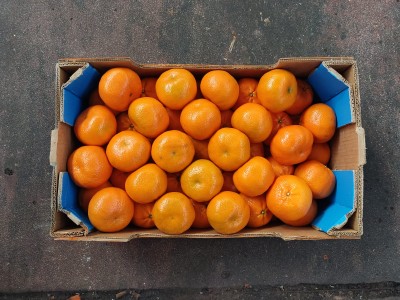 Foto Clementini Varietà Nadorcott Calibro 1x Origine Sud Africa Marchio  Alliance 3
